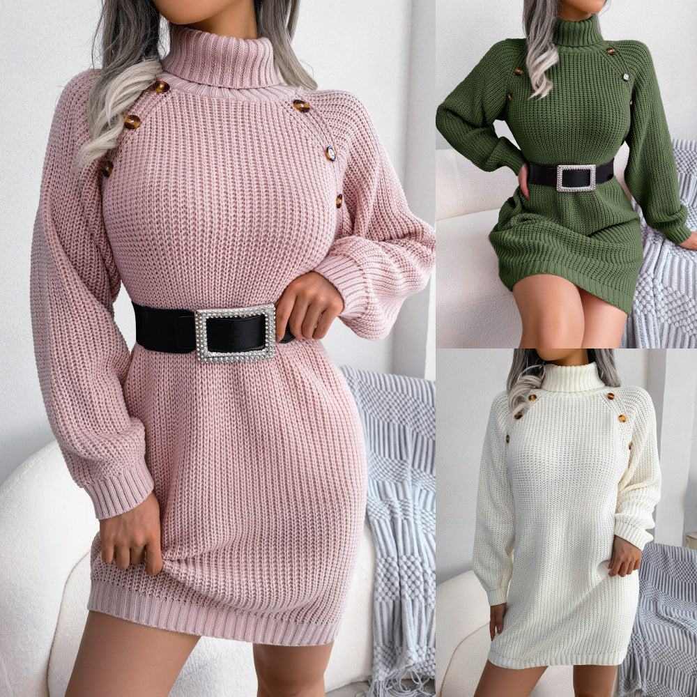 Cozy Turtleneck Sweater Dress